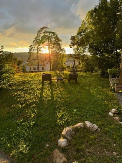 La Ferme Des Aretes Bed & Breakfast La Chaux De Fonds Exterior photo